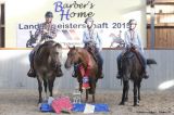 Medal Winners Ranch Riding