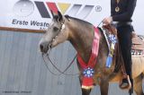 Medal Winners Western Horsemanship